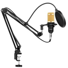 Микрофон студийный Music DJ M800 со стойкой и ветрозащитой+ павук (80005)